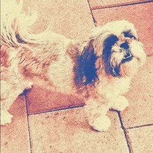 Meet your Posher, Sharon